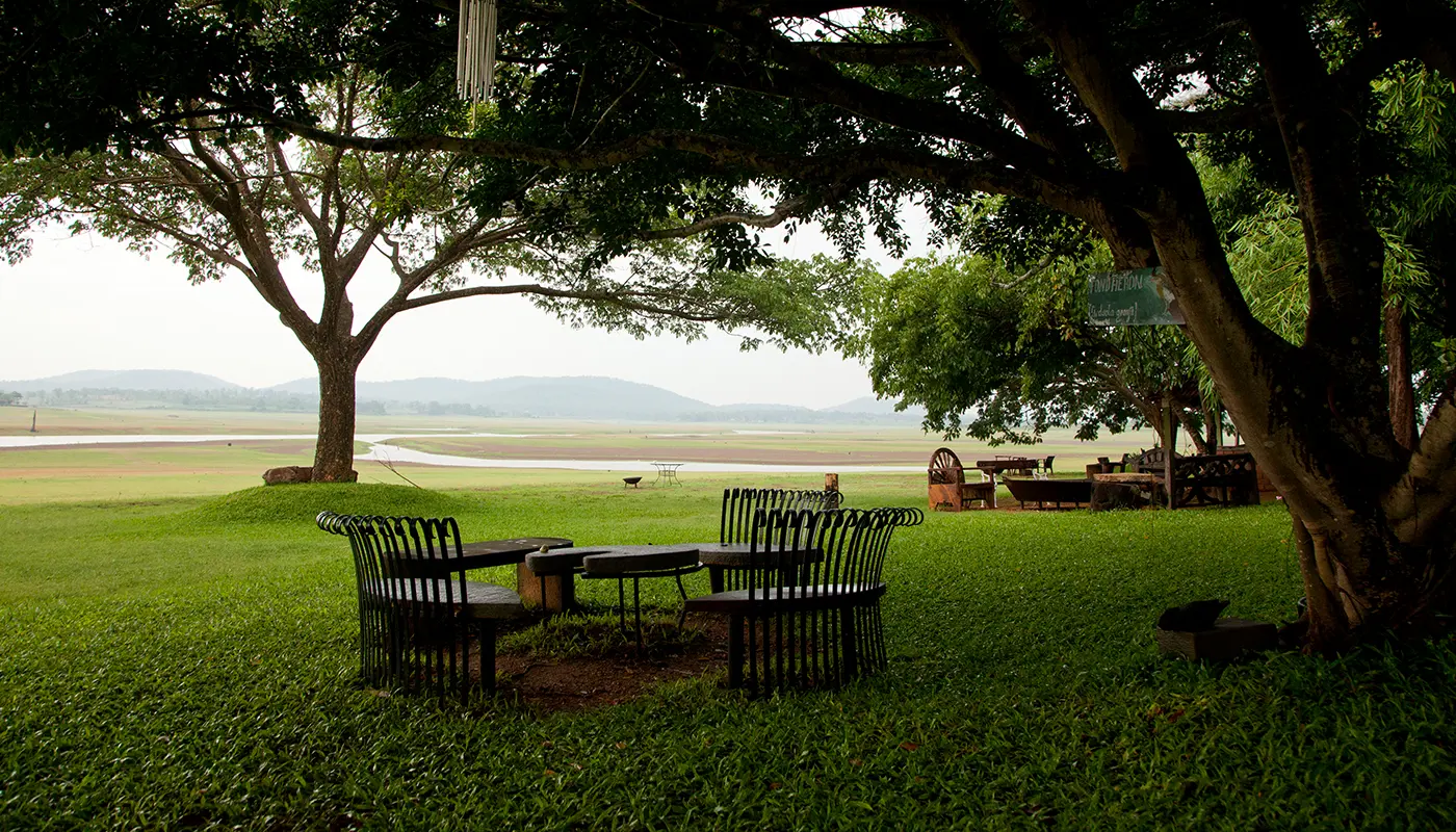 Waterwoods Lodge: A Luxury Riverside Resort in Kabini Where Wilderness Meets Comfort