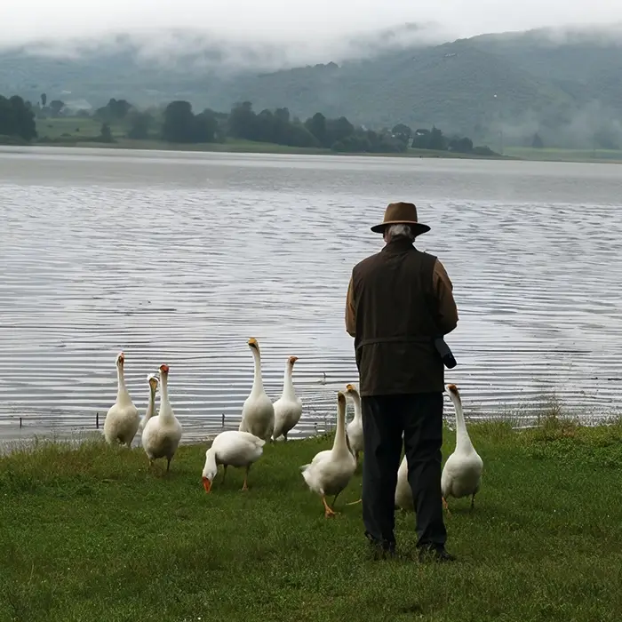 Man standing by Kabini lake feeding geese, symbolizing Waterwoods’ family legacy of harmony between nature and hospitality