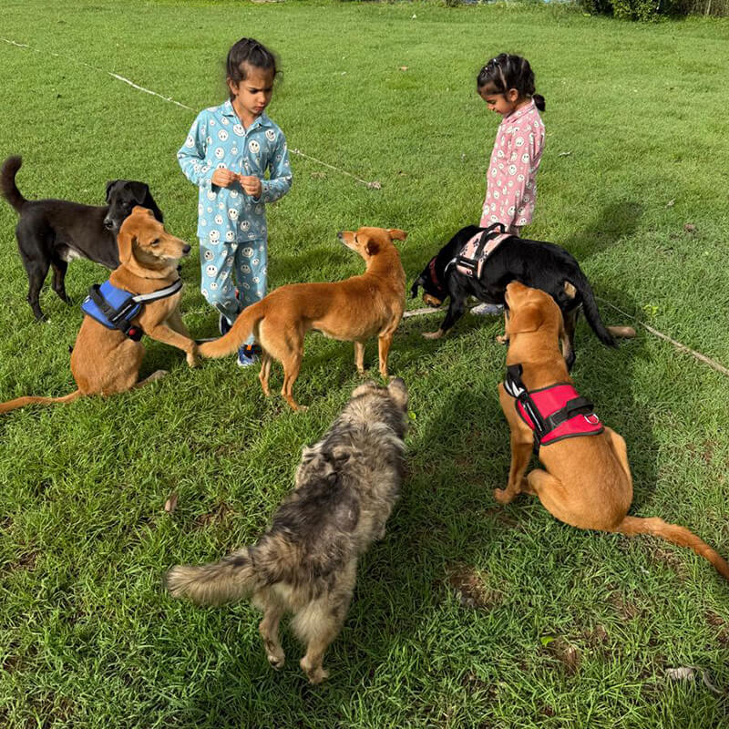 Children of Waterwoods founders playing with friendly dogs on the resort lawns