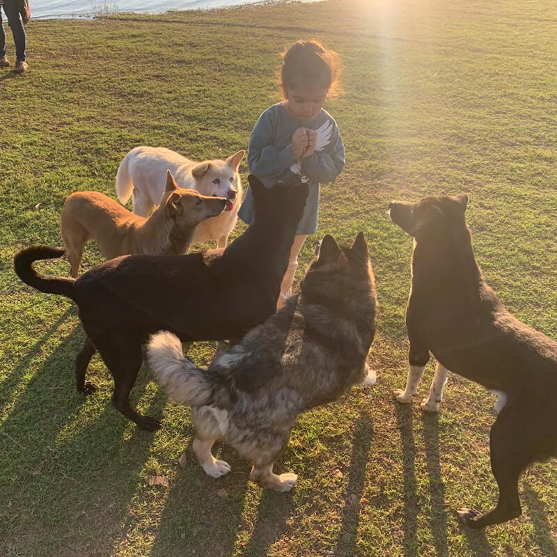 Young children surrounded by Waterwoods’ pet dogs on open grasslands
