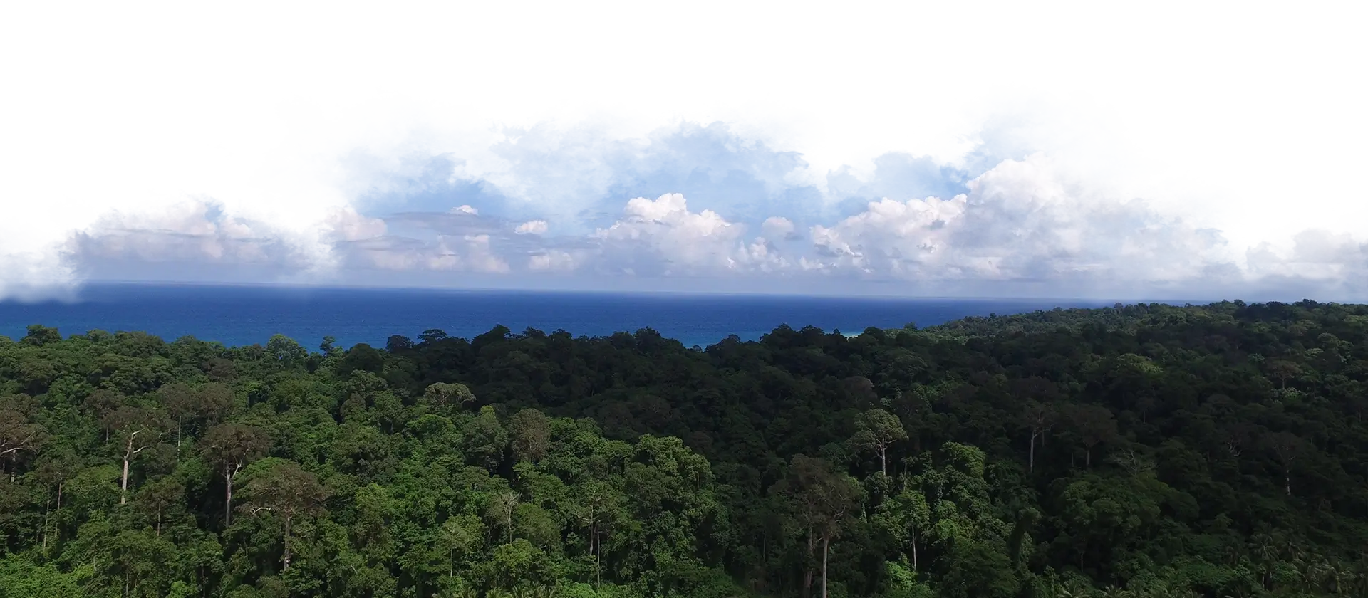 Breathtaking aerial shot of tropical forest and blue ocean horizon at Havelock Island near Waterwoods resort.