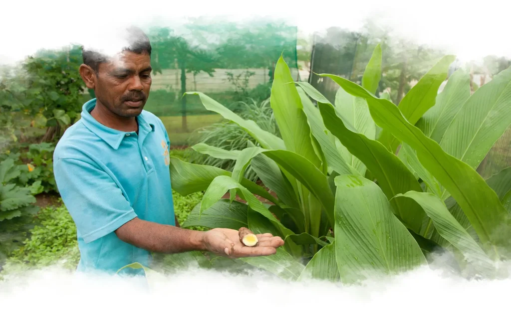 Waterwoods Kabini Organic Farm Tour