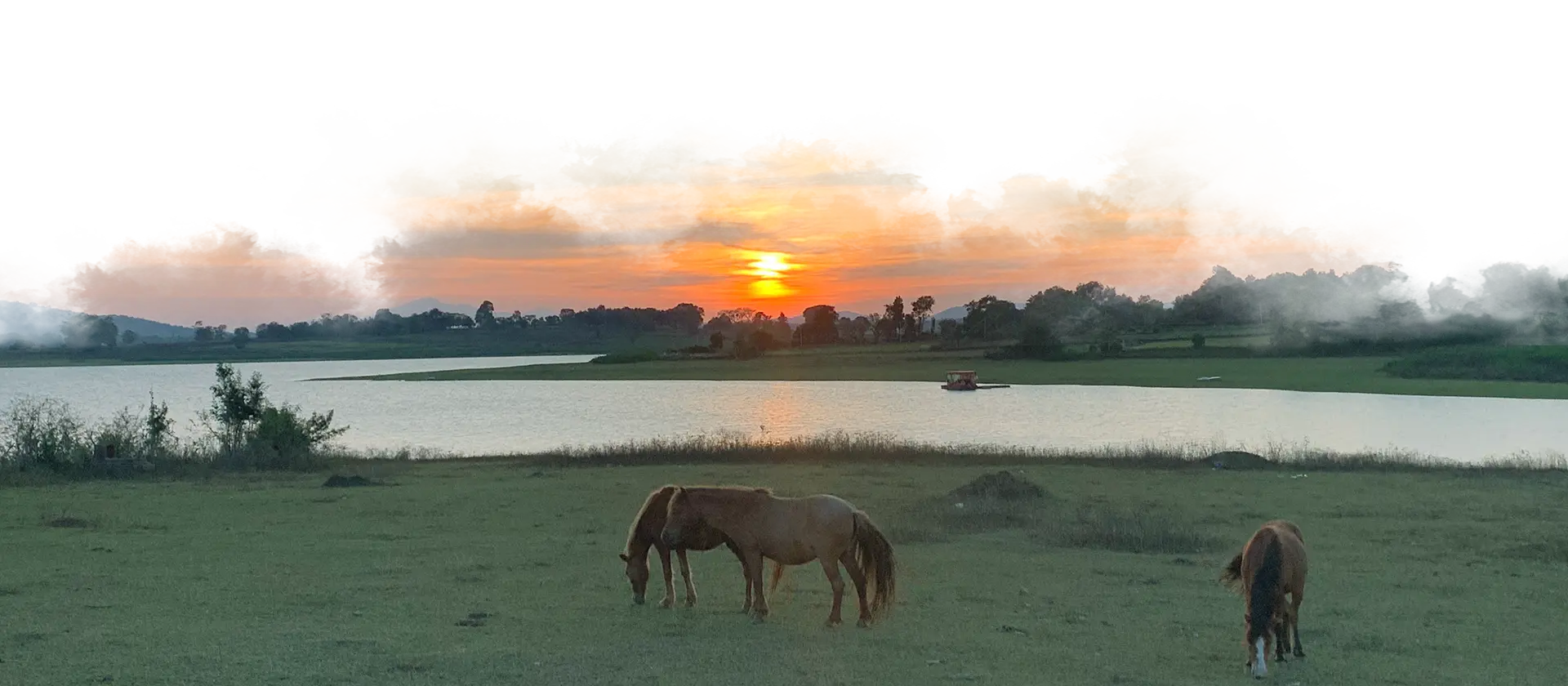 Horses grazing by the Kabini riverfront at sunset with a glowing orange sky and tranquil waters.