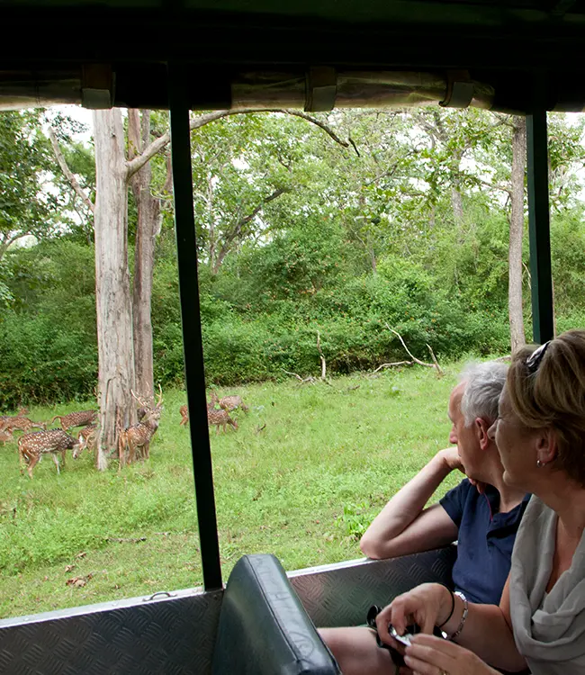 Tourists observing spotted deer during a wildlife safari in Kabini National Park