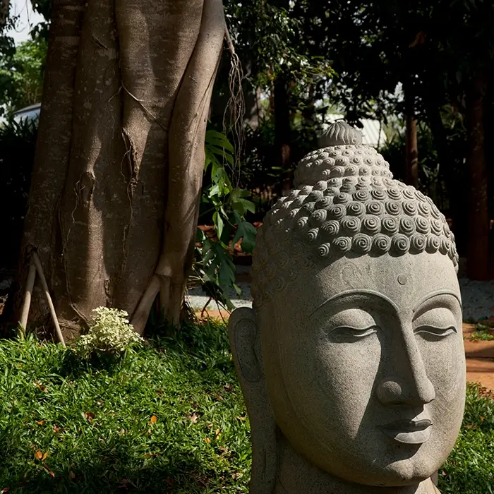 Stone Buddha sculpture under a banyan tree at Waterwoods Kabini symbolizing calmness and harmony with nature