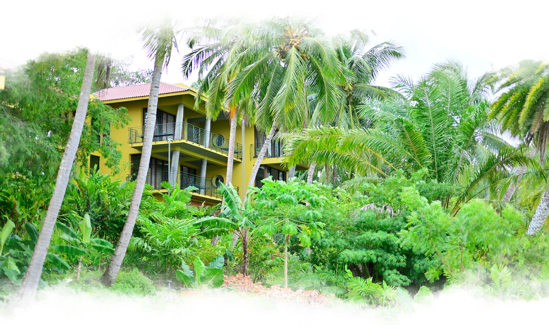 Havelock Villa Amidst Palm Forest
