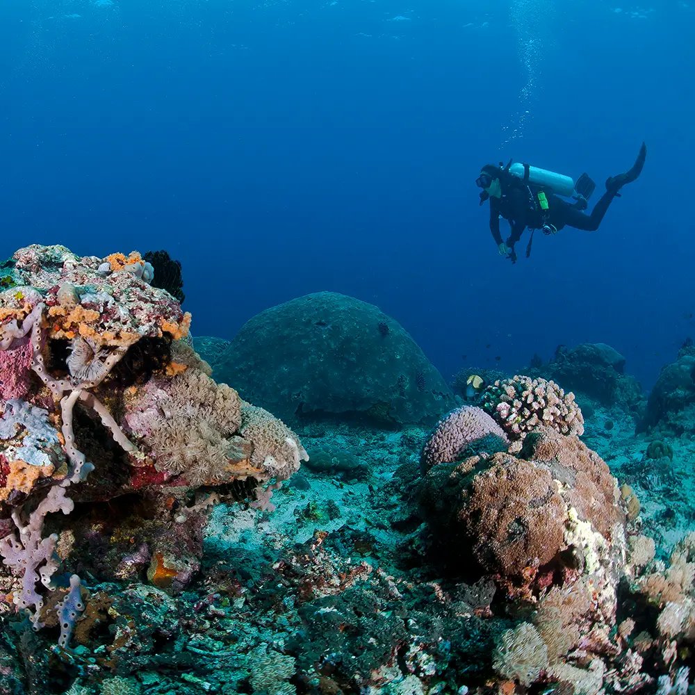 Andaman Islands Scuba Diving
