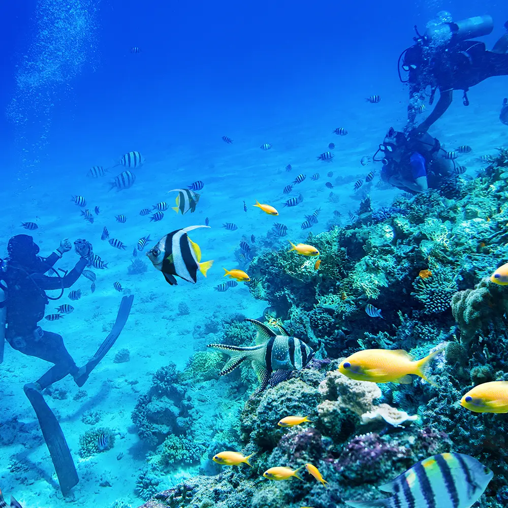 Diving in Andaman