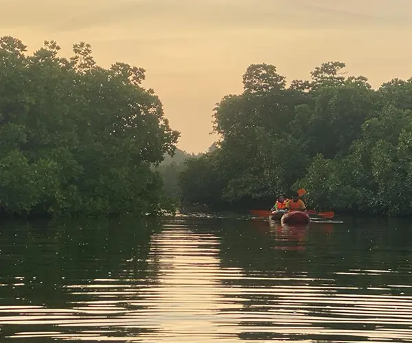 Kayaking Options in Havelock​