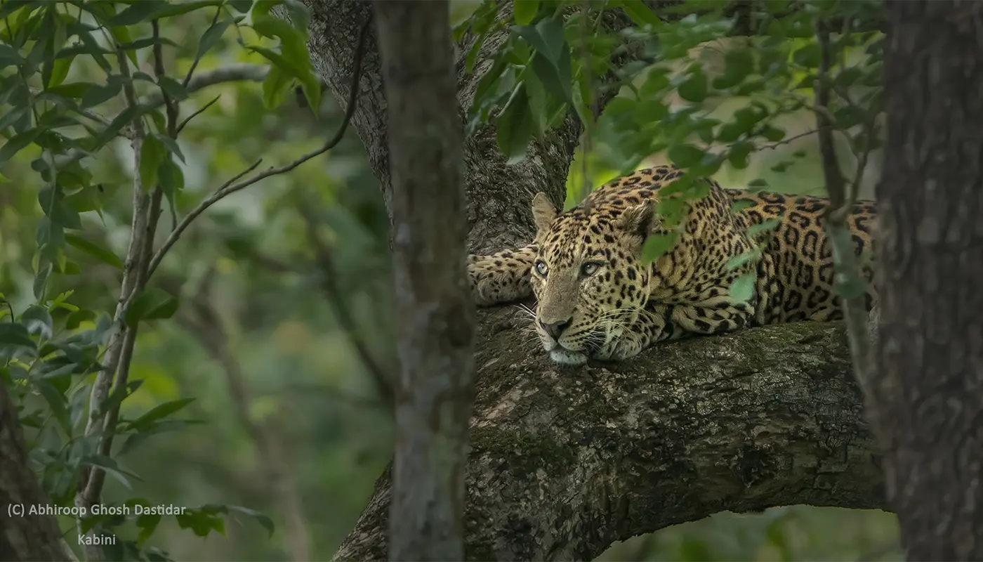 Winter in Kabini