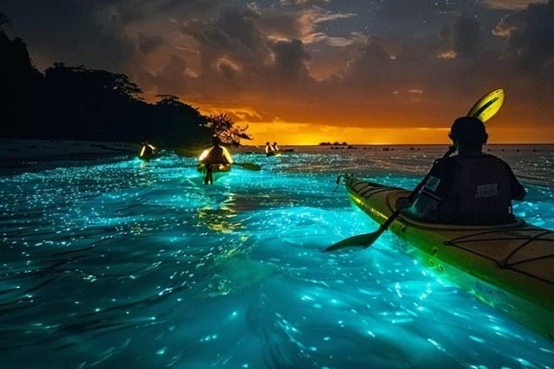 Night Kayaking at Havelock
