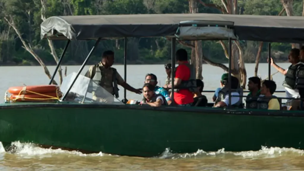 The Boat Safari A Different View Of The Forest