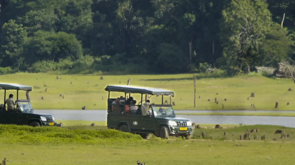 Waterwoods gets you a safari