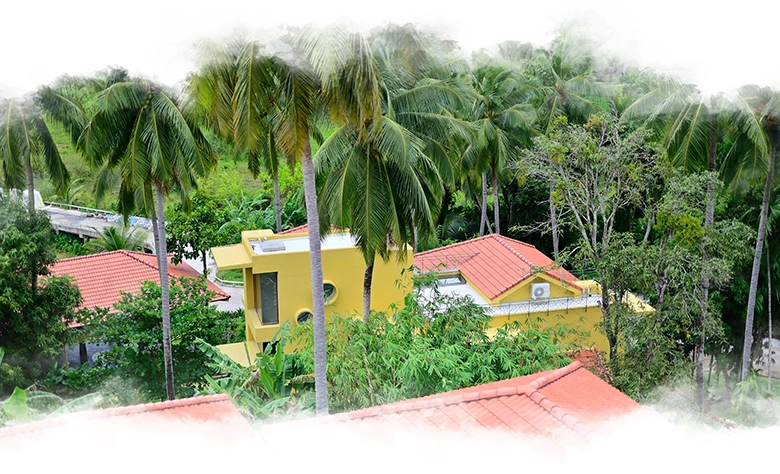 Aerial view of Waterwoods Havelock villas surrounded by palm trees and greenery