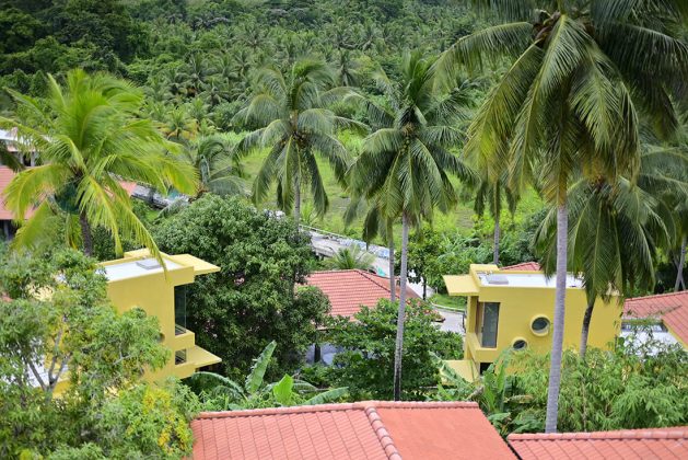 Aerial view of Waterwoods Havelock villas nestled among coconut trees and tropical vegetation.