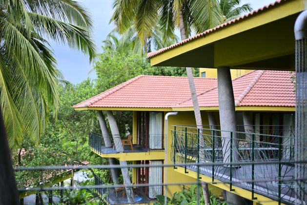 Balcony view of Waterwoods Havelock villas surrounded by coconut trees and tropical vegetation.