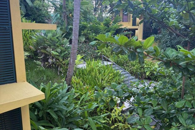 Lush green garden pathway between villas at Waterwoods Havelock shaded by coconut trees.