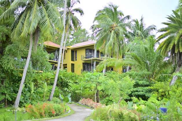 Pathway leading through tropical gardens and coconut trees to villas at Waterwoods Havelock.