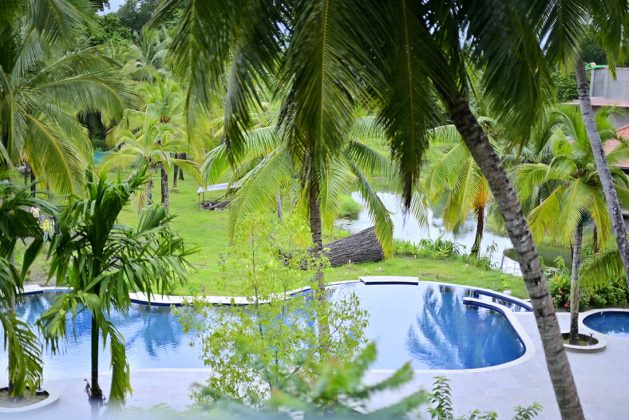 Infinity pool at Waterwoods Havelock overlooking coconut trees and natural tropical surroundings.