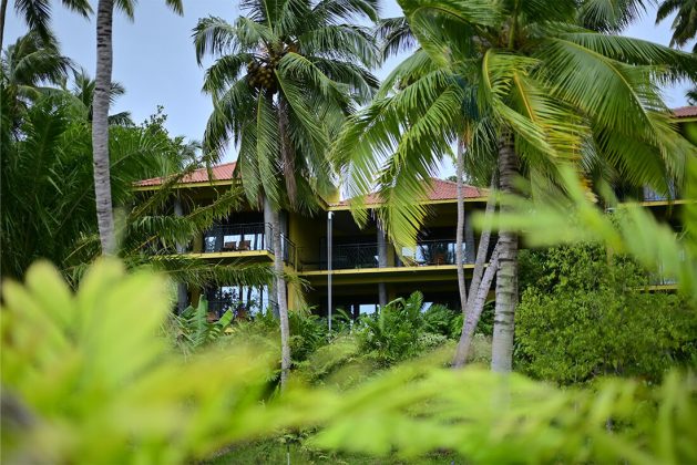 Waterwoods Havelock resort buildings partially hidden among thick greenery and coconut groves.