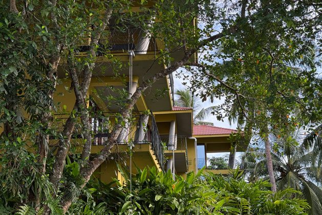 Waterwoods Havelock villa exterior surrounded by coconut trees and lush tropical greenery.